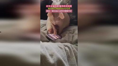 被窝网视频