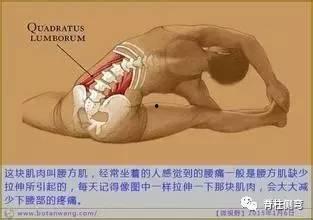 腰椎矫正视频,轻松掌握居家脊椎保健技巧