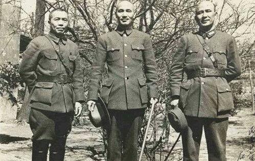 李宗仁回国视频,见证历史时刻的深情回归