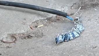 烧炮仗视频,一场视觉盛宴的烧炮仗视频回顾