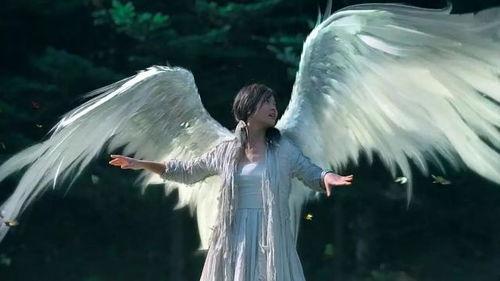 真天使视频,视频中的神秘现象深度解析