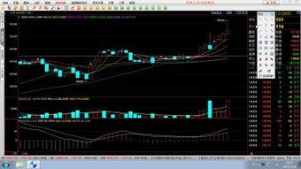 压力位视频,视频解析实战策略与技巧