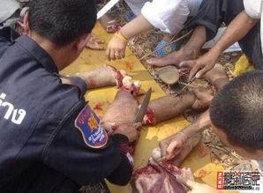 肢解人体视频,揭秘肢解人体视频背后的黑暗真相