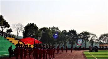 运动会宣誓视频,誓言飞扬——运动会宣誓视频精彩回顾