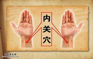 人迎的准确位置图视频,精准掌握养生之道