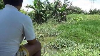 野草舞蹈视频,一场视觉与心灵的舞蹈盛宴