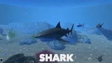 大鲨鱼动画视频,海洋奇遇记