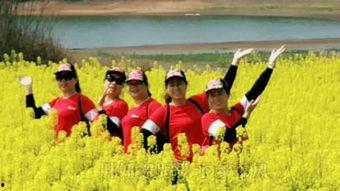 胖妞跳舞视频,活力四溢的舞蹈瞬间