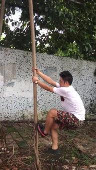 日本顶屁股 视频,传统习俗与现代演绎