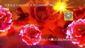 猪猪侠舞蹈视频,活力四溢的动感演绎